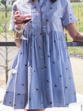 Kate Spade Abuzz Poplin Cotton Shirt Dress Bumblebee Print Blue White Stripe S